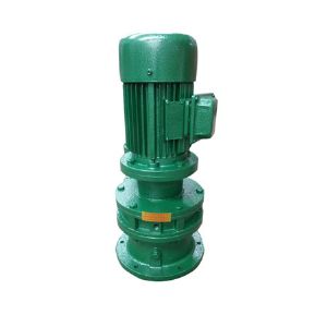 BLY系列立式专业电机直联摆线针轮减速机